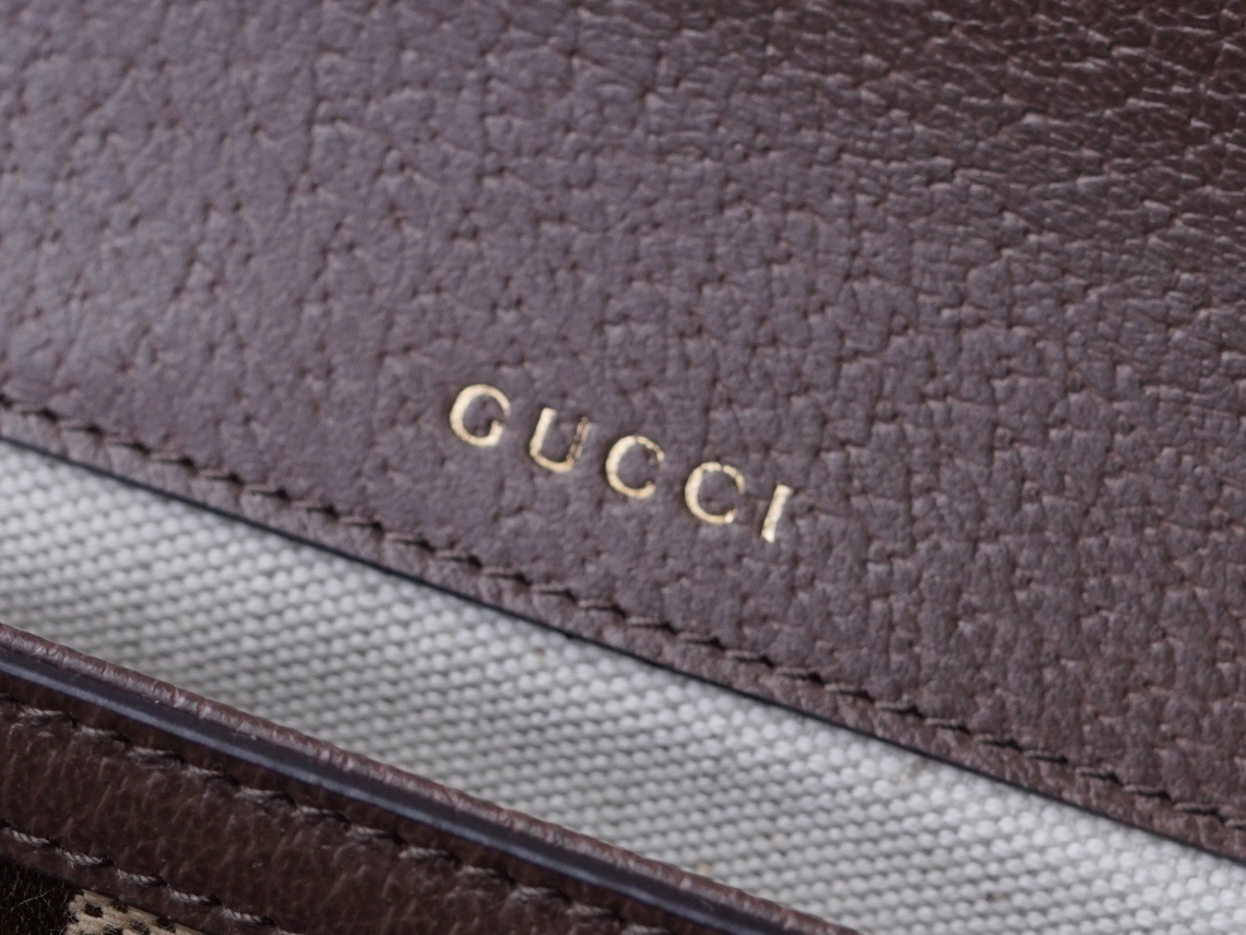 Gucci 1955 Series Canvas Mini