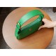 Aphrodite Series Mini Shoulder Bag, Green