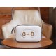 Horsebit 1955 Series Mini Camera Bag in White