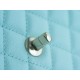 Coco Handle New Calfskin Handle Medium Baby Blue Calfskin  