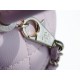 Coco Handle New Calfskin Handle Small Sakura Pink Calfskin  