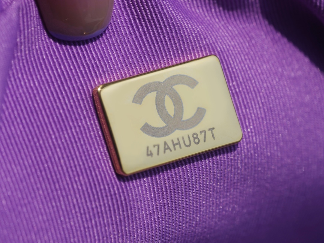 Chanel 22P Backpack Purple  