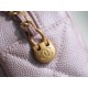 Chanel 21/22 Bullet Shell Horizontal Camera Bag Pearl Pink  