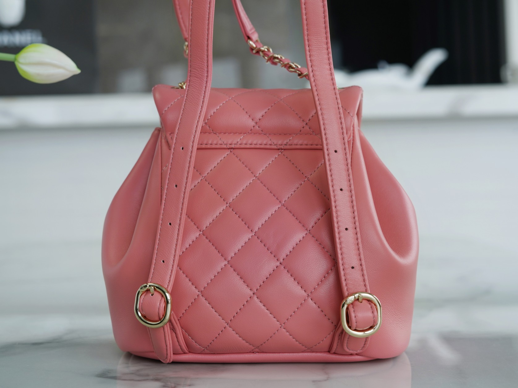 Chanel 22A Duma Backpack Lambskin Coral Pink  