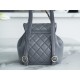 Chanel 22A Duma Backpack Lambskin Elephant Grey  