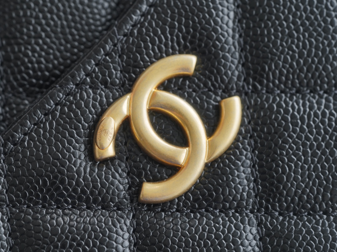 Chanel 22S Hollow Handle Camera Bag Calfskin  