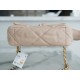 Chanel 19 Bag Light Almond Small  