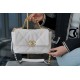 Chanel 19 Bag Small Goat Leather Series  