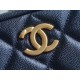 Chanel Bullet Shell Horizontal Camera Bag Pearlescent Black Blue Litchi Grain Calfskin  