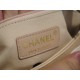 Chanel Coco Handle Small Handle in Pearl White Calfskin  