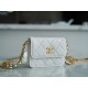 Chanel 22A Gold Mini White Lizard-Print Calfskin with Vintage Gold Clasp  