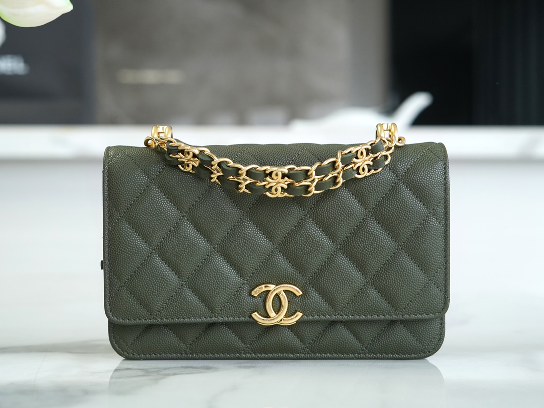 Chanel 22K Chain Bag Cuban Green Lizard-Print Calfskin  