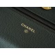 Chanel 22K Chain Bag Cuban Green Lizard-Print Calfskin  