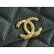 Chanel 22K Chain Bag Cuban Green Lizard-Print Calfskin  