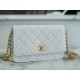 Chanel 22A Gold White Lizard-Print Calfskin with Vintage Gold Clasp  