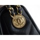 Chanel 22A Gold Flap Bag Square Lizard-Print Calfskin with Vintage Gold Clasp  