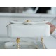 Chanel 22A Gold Flap Mini White Lizard-Print Calfskin with Vintage Gold Clasp  