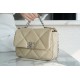 Chanel 19 BAG 22C Milk Tea Apricot Silver Accessories Small  