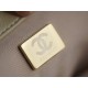 Chanel 19 BAG 22C Milk Tea Apricot Silver Accessories Small  