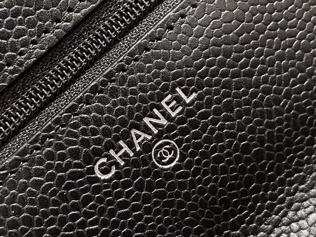 Chanel Entry-Level Classic Fortune Bag Black/Silver Caviar Leather  