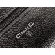 Chanel Entry-Level Classic Fortune Bag Black/Silver Caviar Leather  