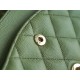 CF Classic Flap | Litchi Grain Leather Medium Grass Green  