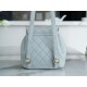 CHANEL 22A Duma Backpack Small Lambskin  