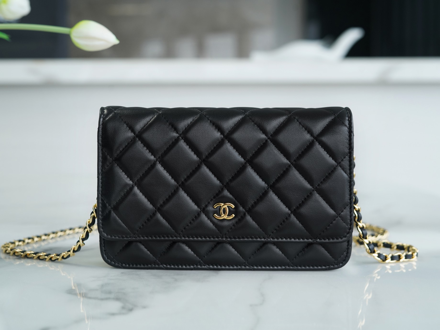 CHANEL Entry-Level Classic WOC (Magnetic Closure) Black Gold Lambskin  