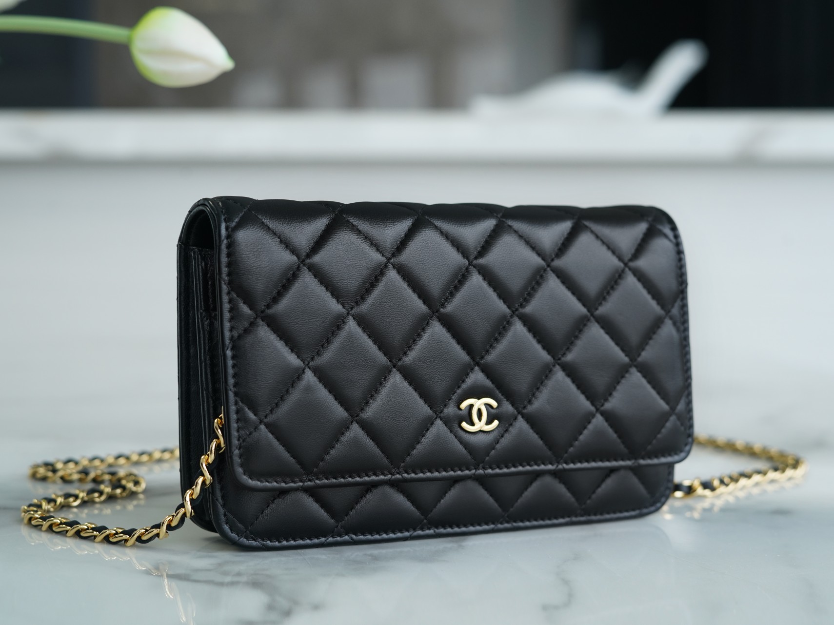 CHANEL Entry-Level Classic WOC (Magnetic Closure) Black Gold Lambskin  