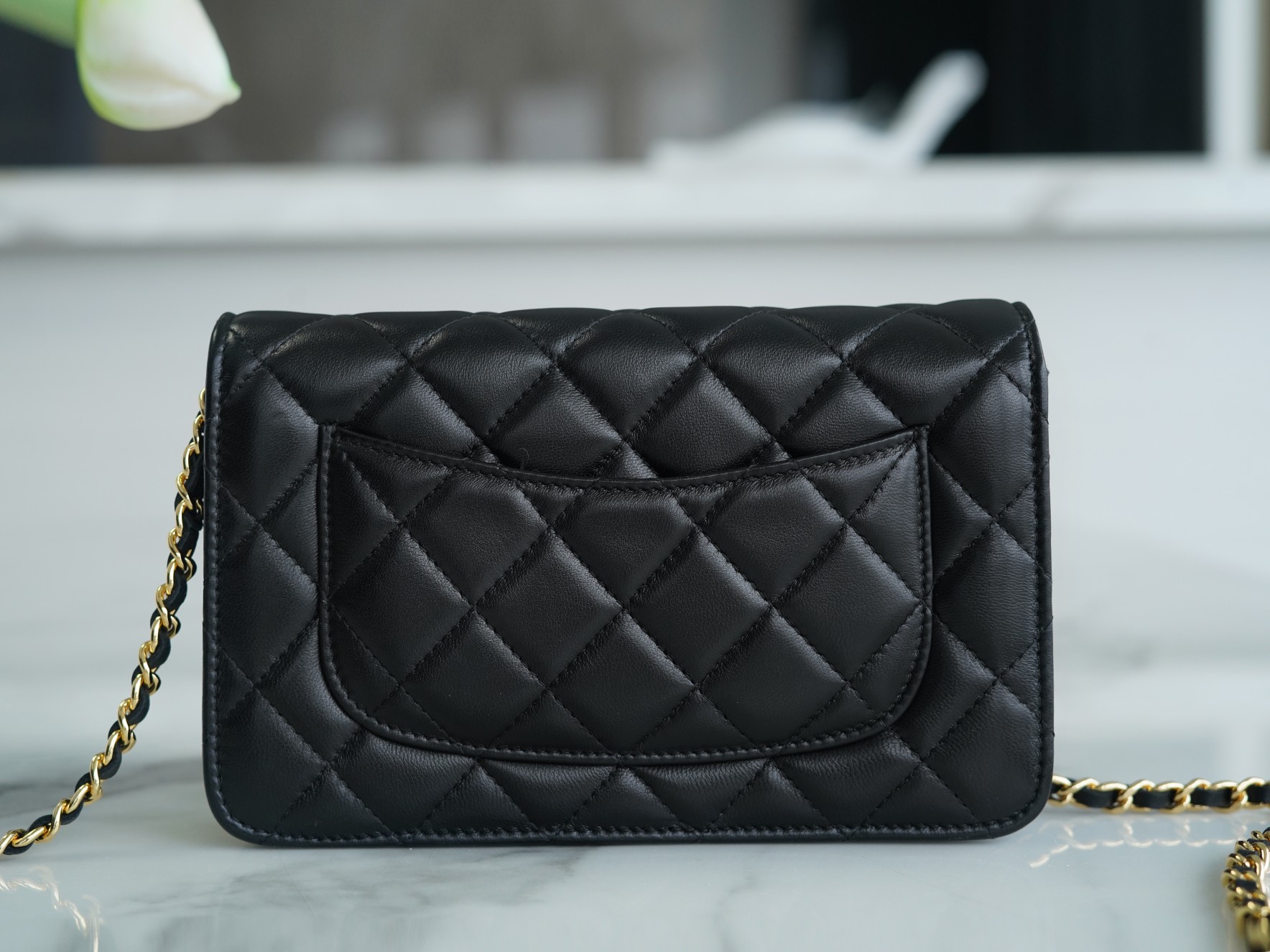 CHANEL Entry-Level Classic WOC (Magnetic Closure) Black Gold Lambskin  