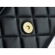 CHANEL Entry-Level Classic WOC (Magnetic Closure) Black Gold Lambskin  