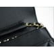 CHANEL Entry-Level Classic WOC (Magnetic Closure) Black Gold Lambskin  