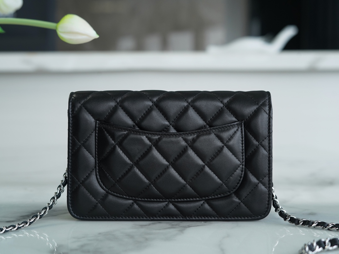 CHANEL Entry-Level Classic WOC (Magnetic Closure) Black Silver Lambskin  