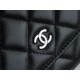 CHANEL Entry-Level Classic WOC (Magnetic Closure) Black Silver Lambskin  