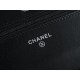 CHANEL Entry-Level Classic WOC (Magnetic Closure) Black Silver Lambskin  