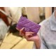 2020 Spring/Summer New Zipper Coin Card Holder Lavender Purple Lambskin  