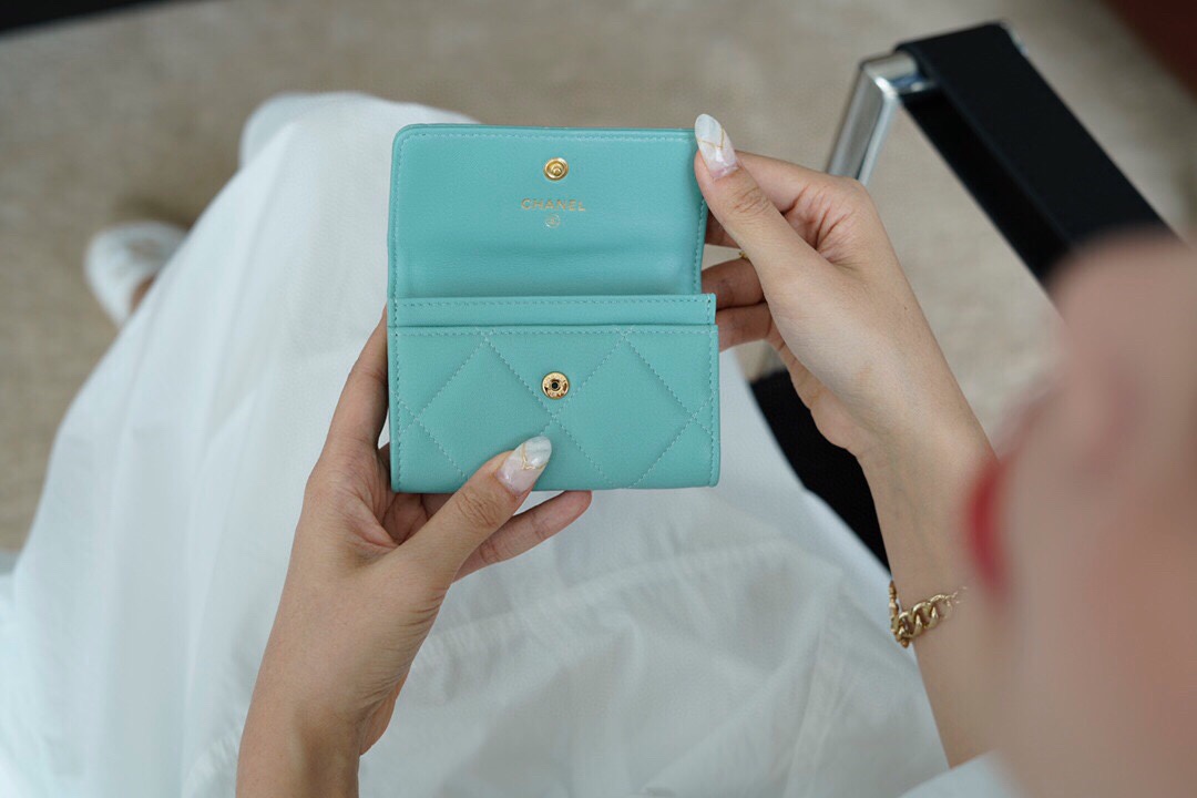 19 Series Card Holder Tiffany Blue Goat Leather  