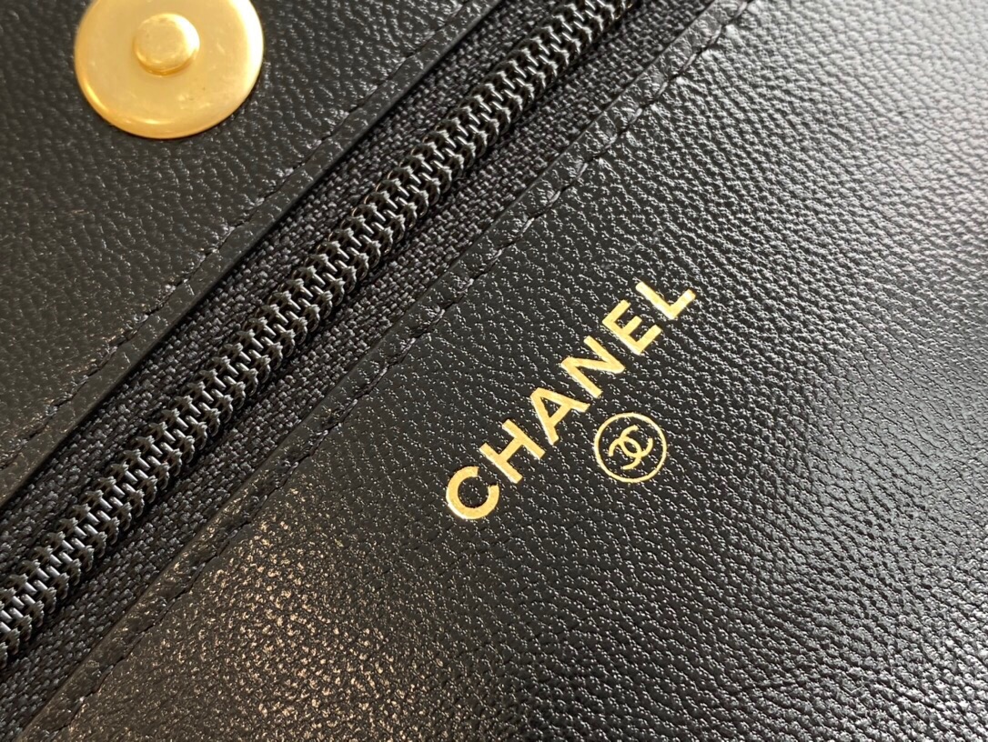 CHANEL 19 Series  