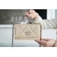 CHANEL 19 WOC 22C Almond Color Silver Hardware  