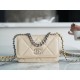 CHANEL 19 WOC 22C Almond Color Silver Hardware  