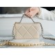 CHANEL 19 WOC 22C Almond Color Silver Hardware  