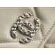 CHANEL 19 WOC 22C Almond Color Silver Hardware  