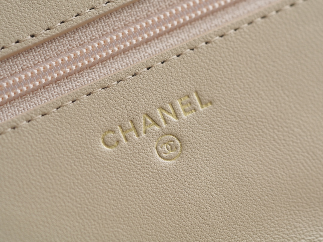 CHANEL 19 WOC 22C Almond Color Silver Hardware  