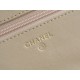 CHANEL 19 WOC 22C Almond Color Silver Hardware  