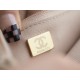 CHANEL 19 WOC 22C Almond Color Silver Hardware  