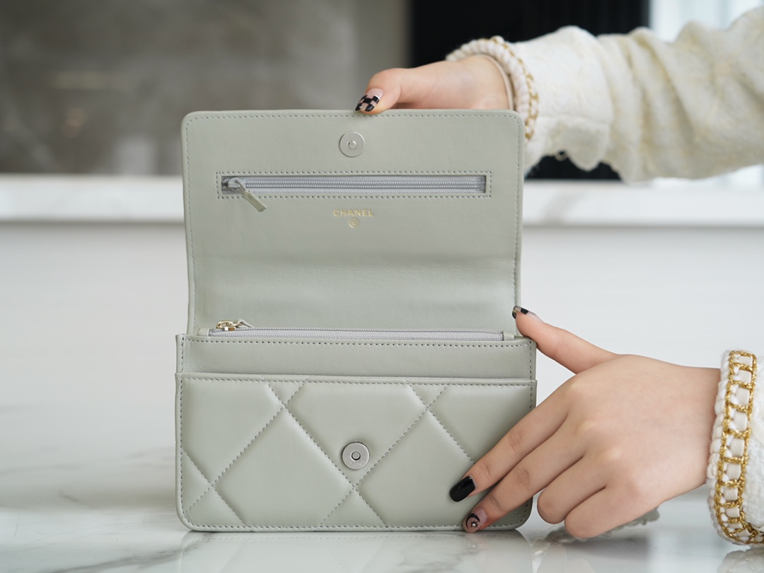 CHANEL 19 WOC 22C Light Gray Silver Hardware  