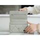 CHANEL 19 WOC 22C Light Gray Silver Hardware  