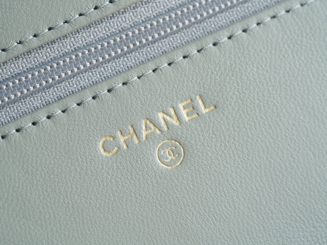 CHANEL 19 WOC 22C Light Gray Silver Hardware  