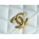 CHANEL 22K New Chain WOC White Lizard Grain Calfskin  