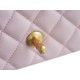 Chanel 23S CF Camellia Sakura Pink Lambskin  